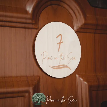 公寓 Pine In The Sea Nikiti-sithonia